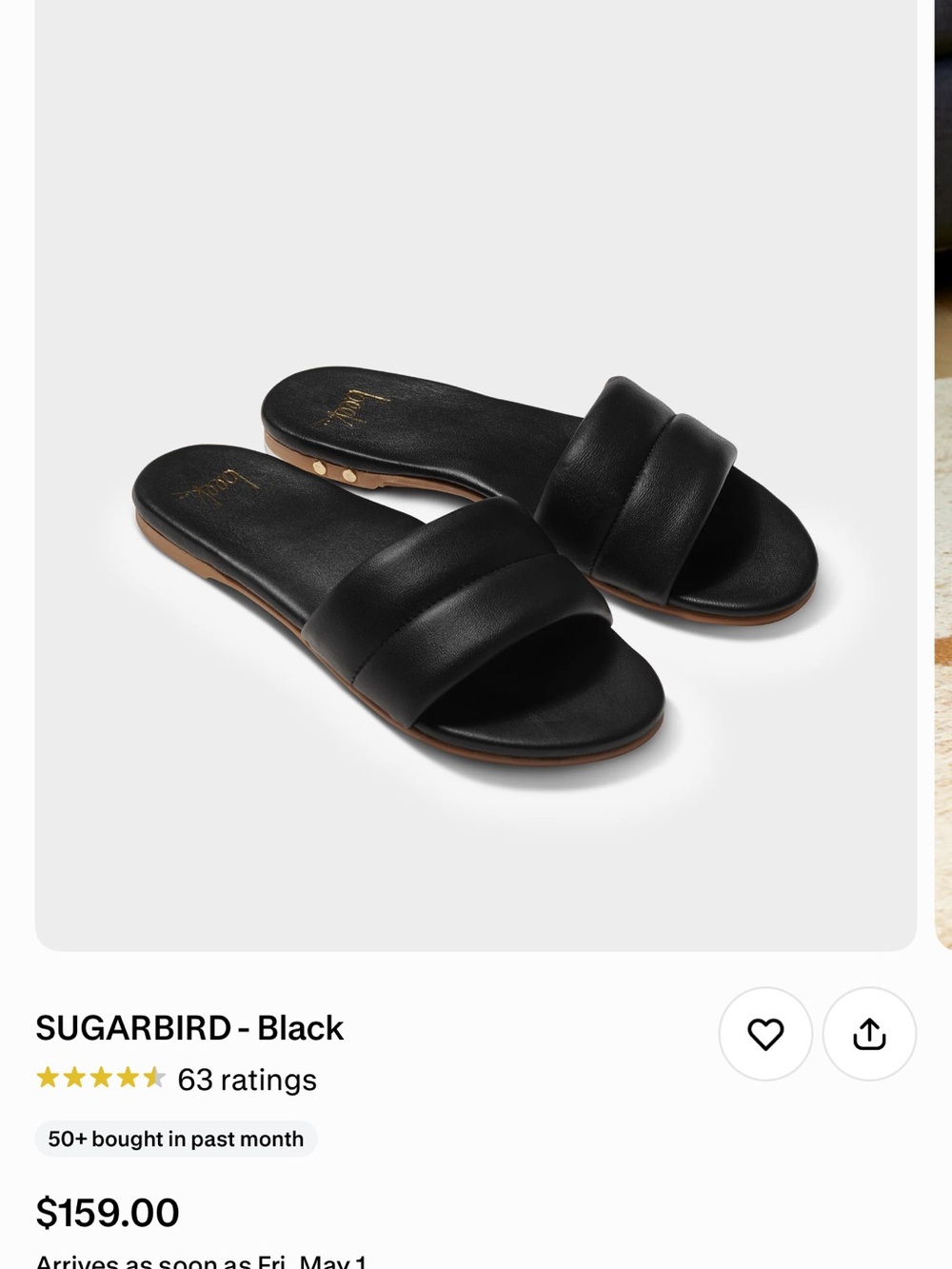 beek Black Padded Slide Sandals